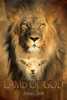 Thunder the Loin Thunder the Loin